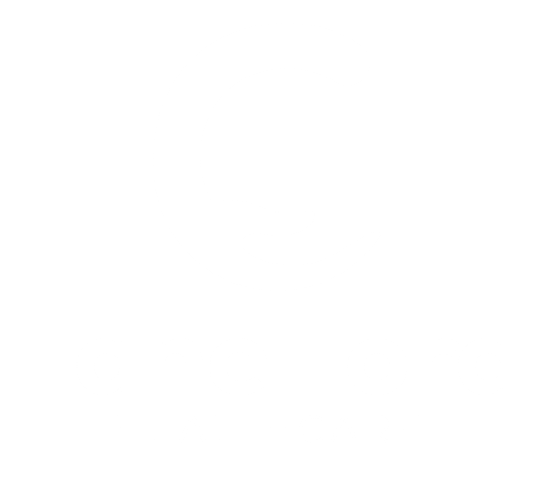 Lane Ford healtcare - ff-03